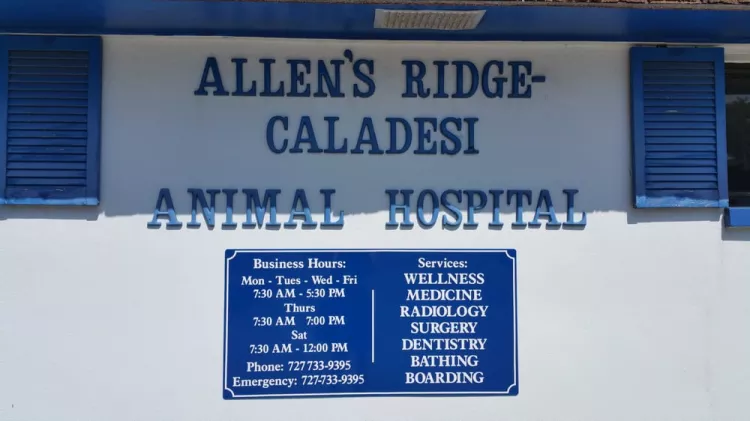 Allen's Ridge-Caladesi, Florida, Dunedin